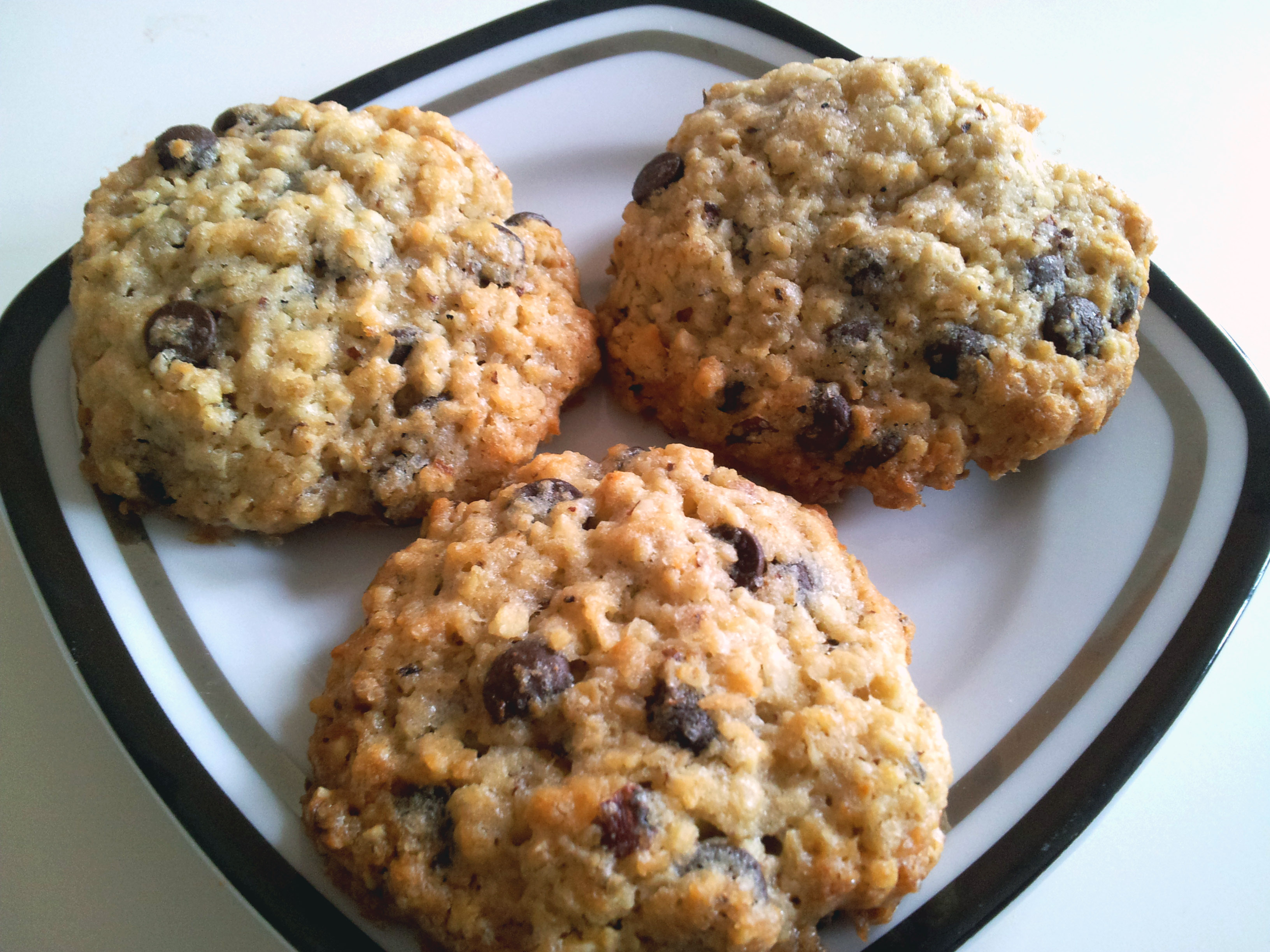 Haferflocken-Kokos-Cookies mit Schokotropfen | Claudi&amp;#39;s vegan world